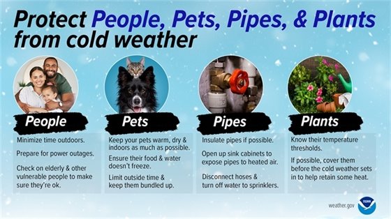 As temperatures drop, remember to protect the 4 P’s: People, pets, pipes, and plants.