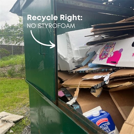 No Styrofoam  in the recycle bin.