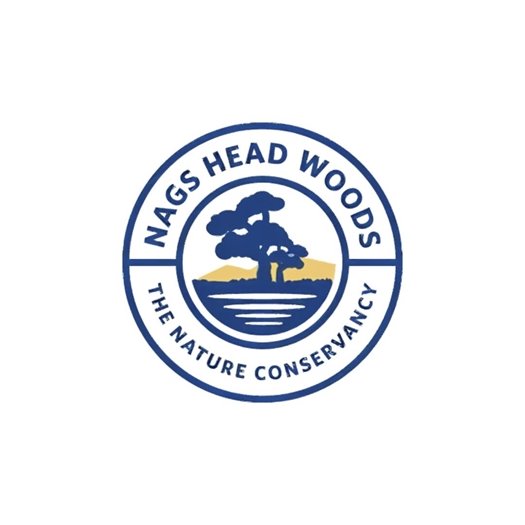 News from Nags Head Woods/Nature Conservancy