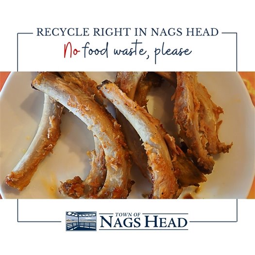 Recycle Right No Food Waste