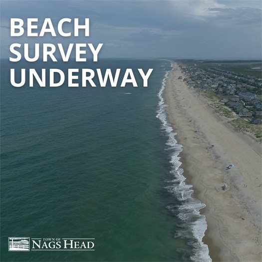 Beach survey underway.