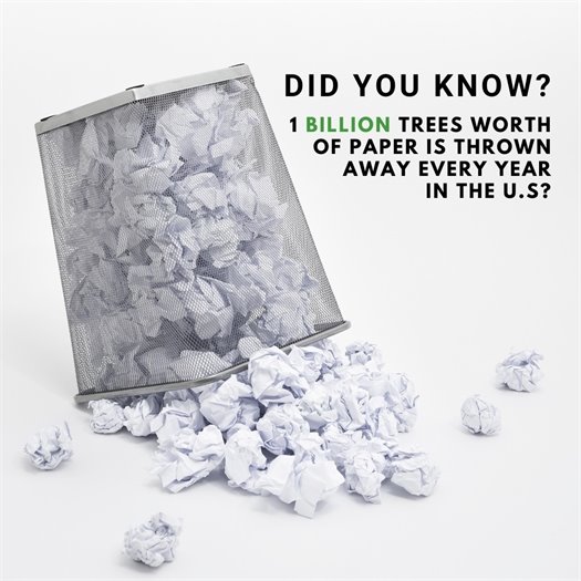 Did you know 1 billion trees worth of paper is thrown away every year in the U.S?  📑Paper can be recycled up to 7x before more fiber needs to be added to the process. You can help preserve natural resources and reduce waste by choosing to recycle your paper!