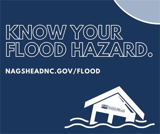 Drawing of house in flood waters