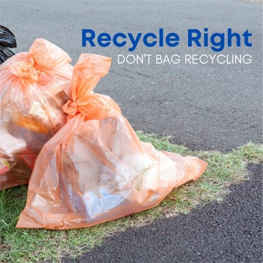 Don't bag your recycling. 