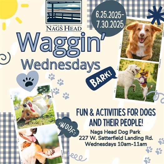 Waggin' Wednesdays at Nags Head's Dog Park