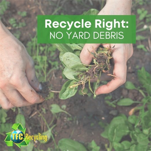 Yes, a Windex bottle is recyclable, but be sure to remove the nozzle. 