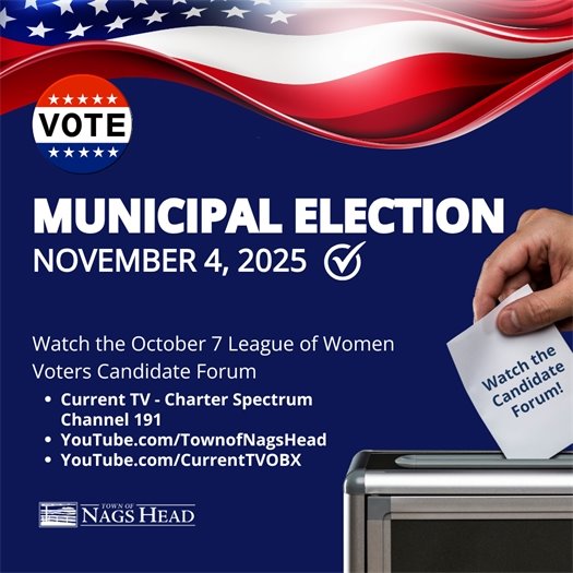 A nonpartisan municipal election will be held November 4, 2025. 