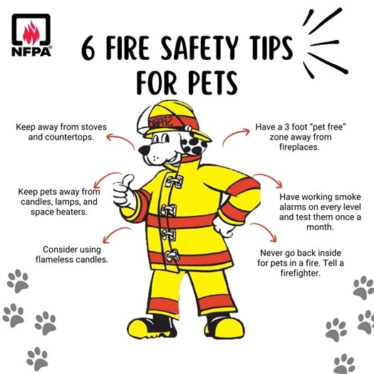 Six Fire Safety Tips for Pets