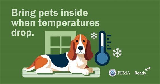 Keep your pets safe during extremely cold temps. If it’s too cold for you, it’s too cold for them!