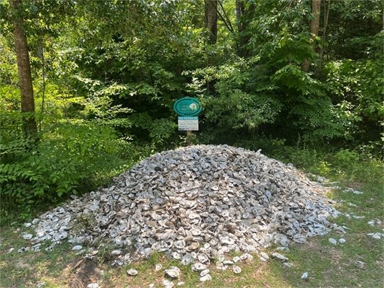If you are enjoying oysters this season please recycle your shells at Nags Head Woods Nature Preserve. 
