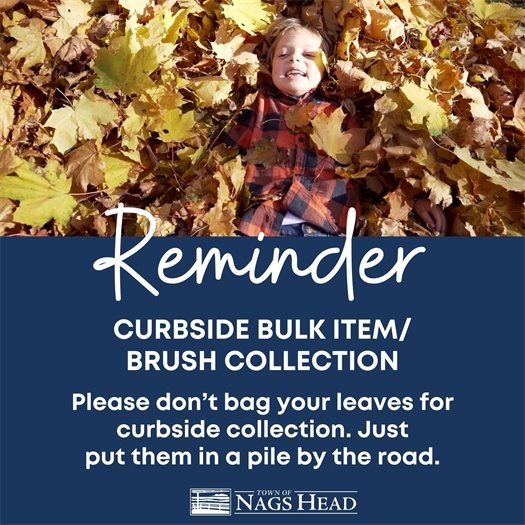 Curbside Bulk and Brush Collection October 2, 2023 - April 30, 2023