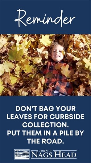 Curbside Bulk and Brush Collection October 2, 2023 - April 30, 2023