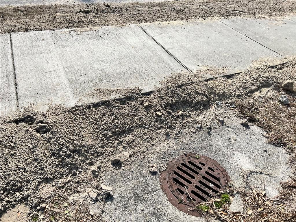 2022-01-26 11.19.22 (Medium)