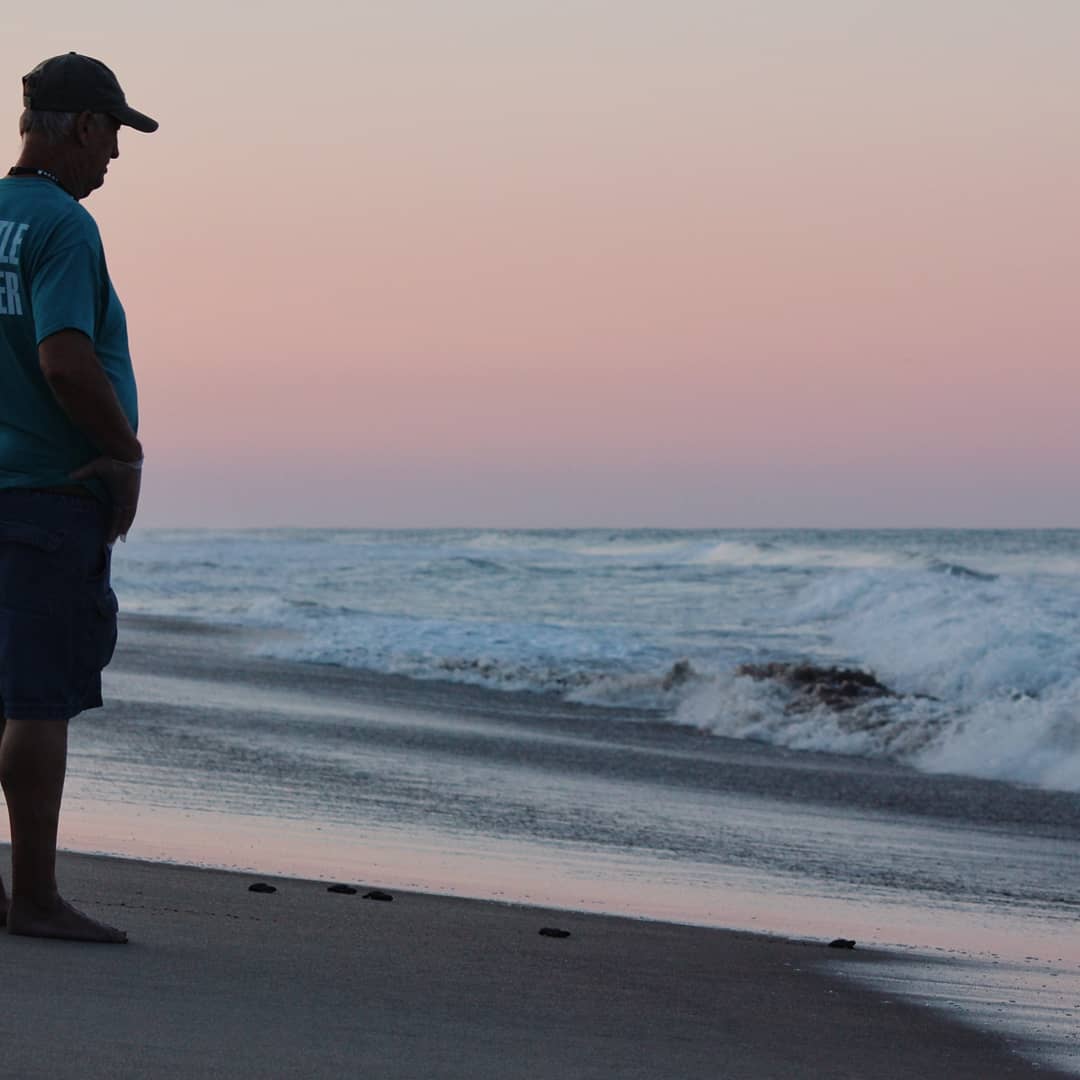 Man watching sea turtle hatchlings make their way to the ocean in Nags Head, NC.