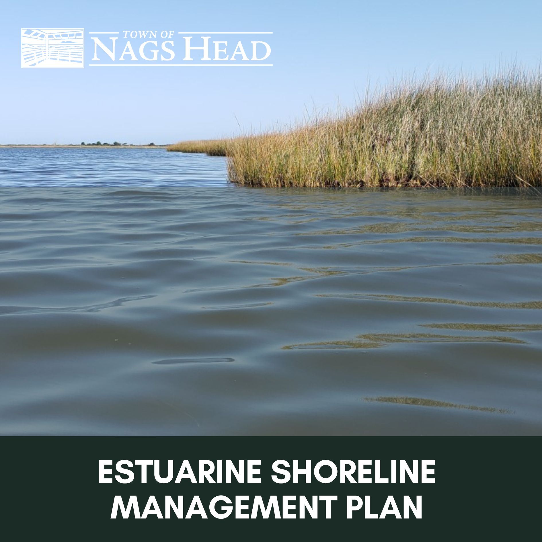 Estuarine Shoreline Management Plan