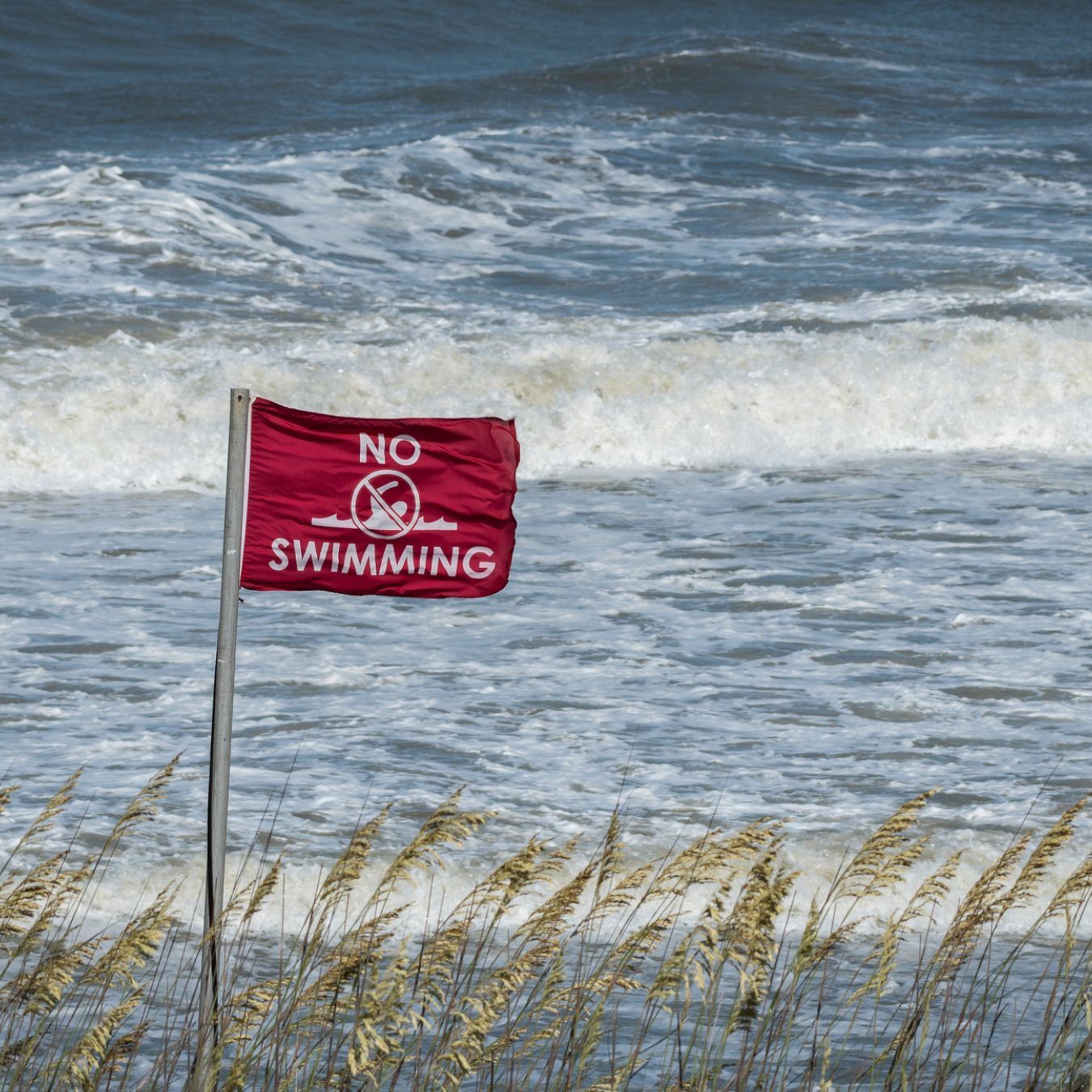 Red No Swimming Flag With Sea Oats