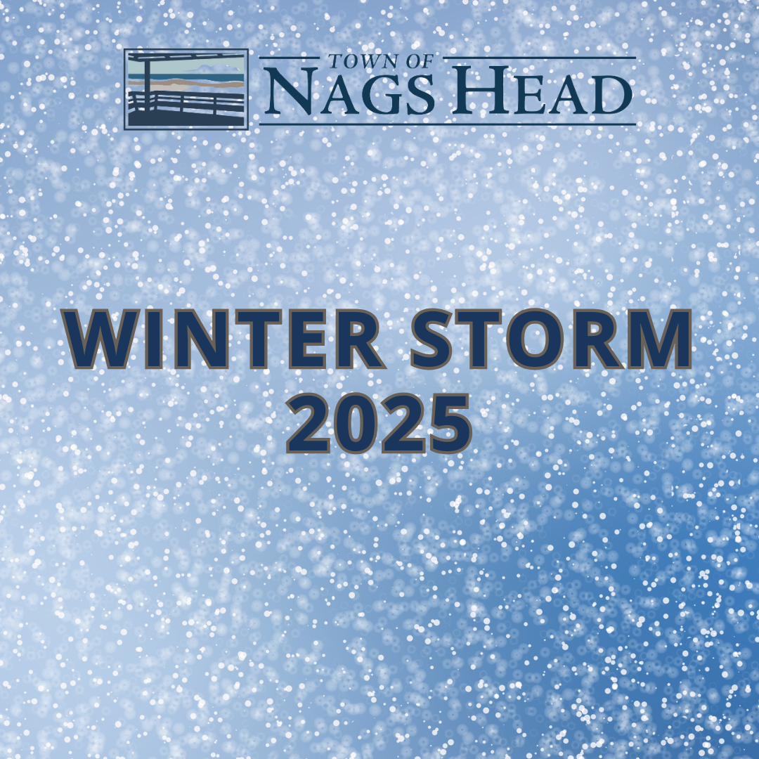 Winter Storm 2025