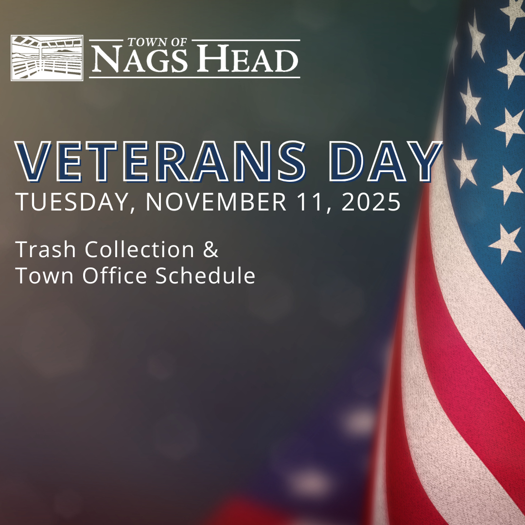 Veterans Day November 11 2025, Town Trash Collection and Office Schedule 