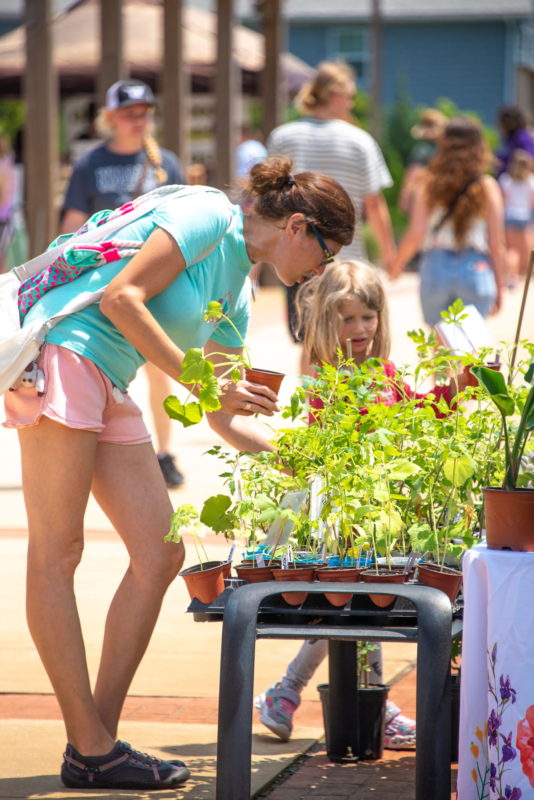 Farmers Market Flowers